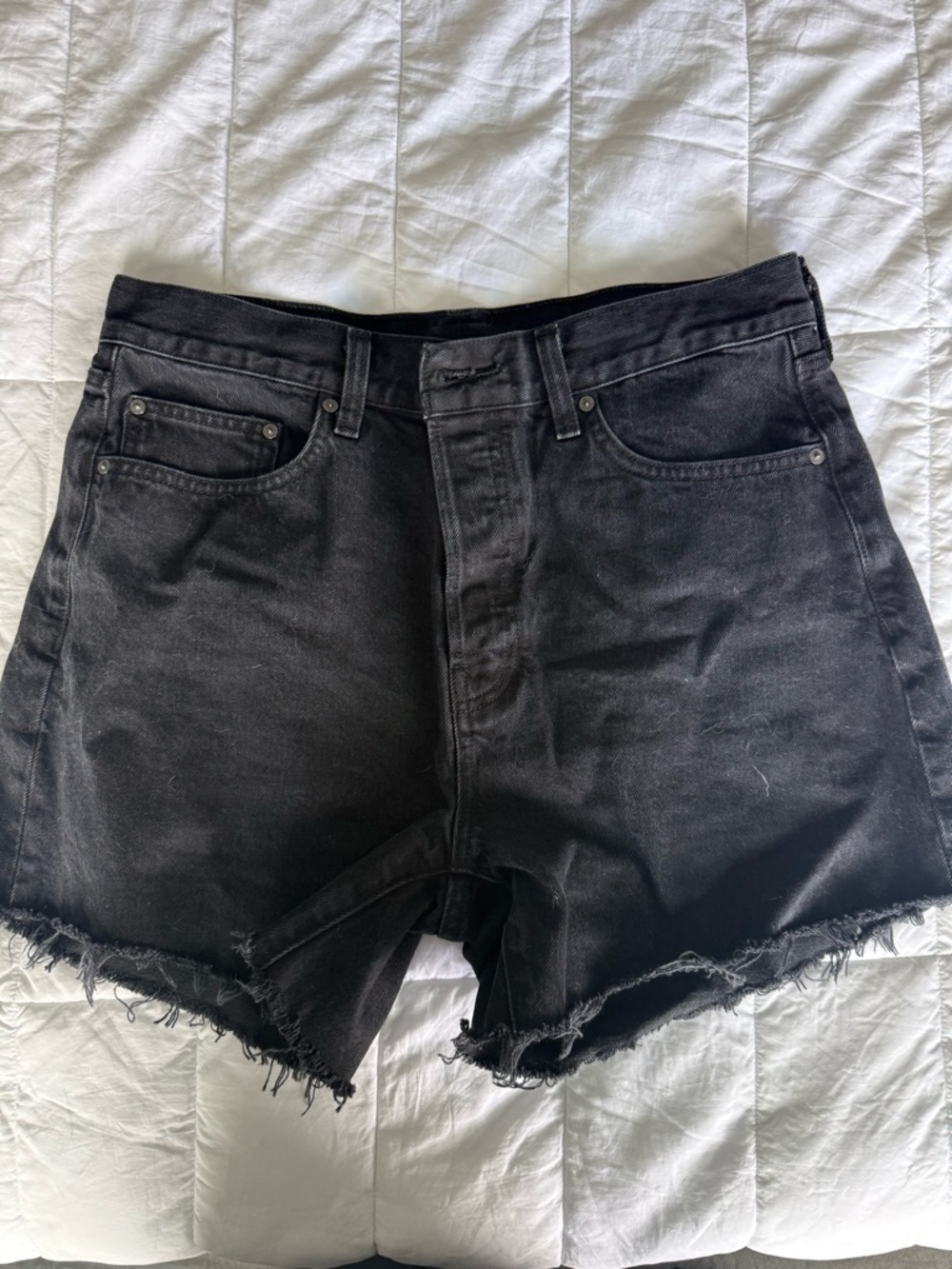 Denim Forum Black Jean Shorts